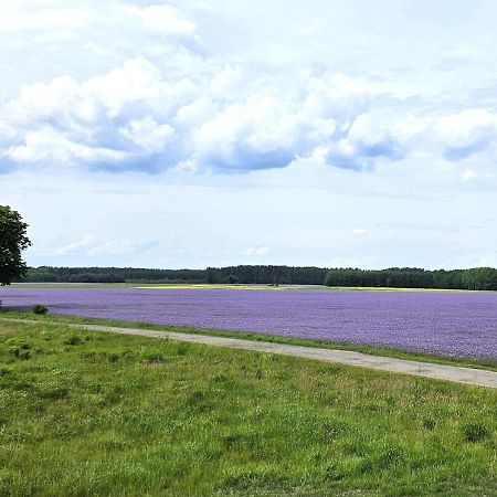 Вілла Pod Kamieniem Trzebiel Екстер'єр фото
